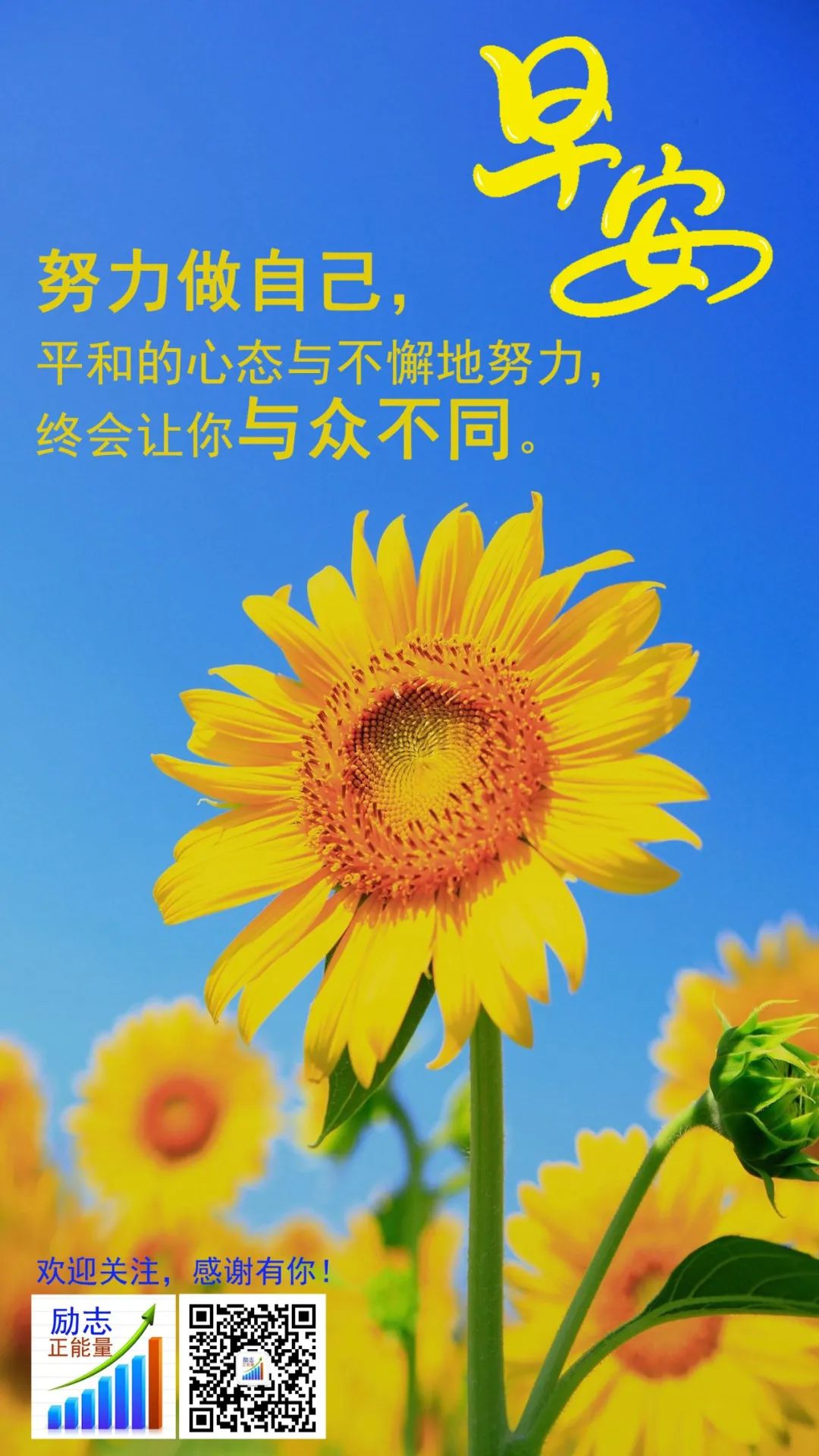 善于读书名言名句_善读书的名言名句_善读书的名言警句