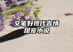 文笔好现代言情甜宠小说