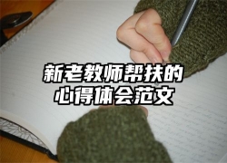 新老教师帮扶的心得体会范文