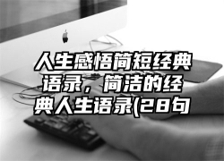 人生感悟简短经典语录，简洁的经典人生语录(28句