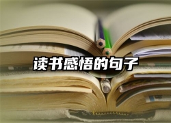 读书感悟的句子