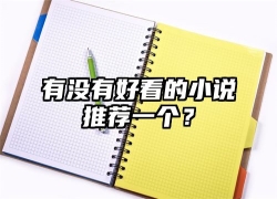 有没有好看的小说推荐一个？