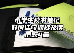 小学生读书笔记好词佳句摘抄及读后感4篇