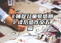 《捕捉儿童敏感期》读后感作文五篇